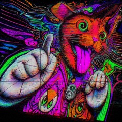 BassKomplex