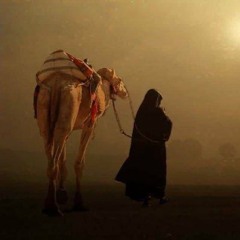 أميرة عبدالبر