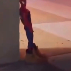 spidernigga