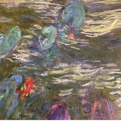 LanaWaterlily