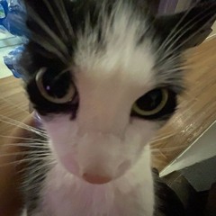 𝟭𝘅𝟭𝘅𝟭𝘅𝟭 | .🦴