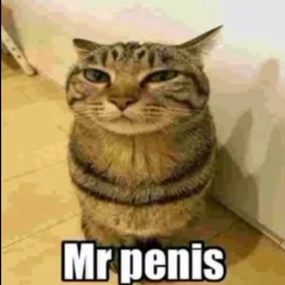 mr.penis