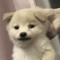 하민