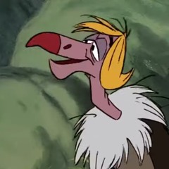Flaps the Vulture