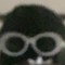 xrnotz