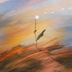 رحمة نصر💚🌿