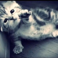 elloodyy