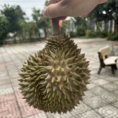 nỗi Sầu Riêng