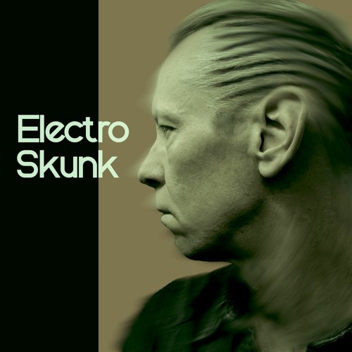 Electro Skunk’s avatar
