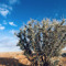 yousef98772