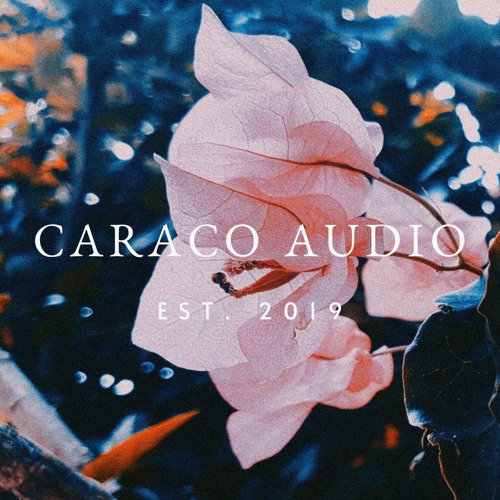 Caraco Audio’s avatar