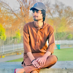 Awais Jameel