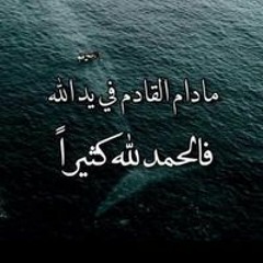 محمد فتحي أبو حسين