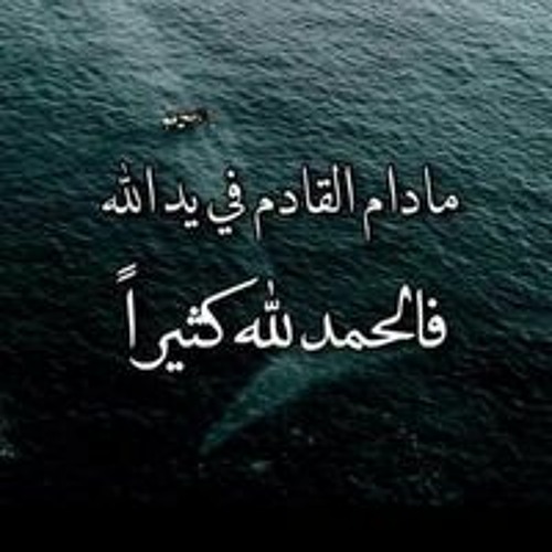 محمد فتحي أبو حسين’s avatar