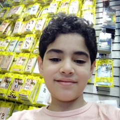 amr shady
