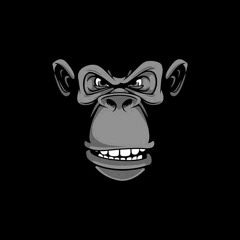 Bashu Monkey