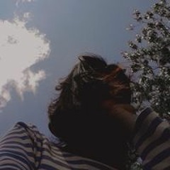 ཆོ་ སྒྲེ།