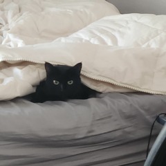 Brandon Michael Garcia