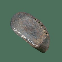 LA LIBERTÉ DE L'AIGLE