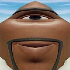 Sem skippers