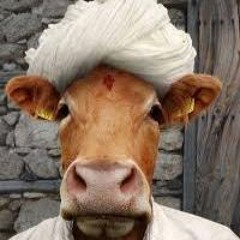 gunfight at the o.k. corral