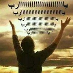 Wael Kamal