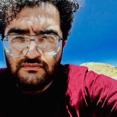 mohamad tavangar