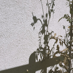annnaisireo