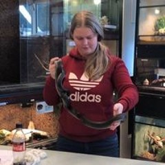 Anne Kolmschot