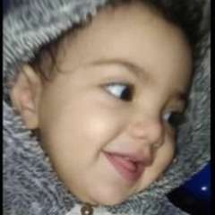 النص Elnoos