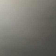 bug