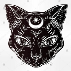 Blackcat coffee house