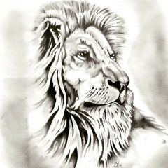 SDP - Als ich Mädchen noch scheiße fand Lyrics.m4a