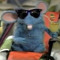 kevinn