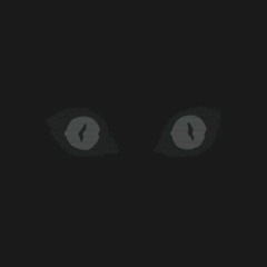 Outside Observer