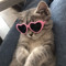 catss