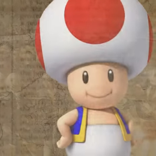 that one toad guy’s avatar