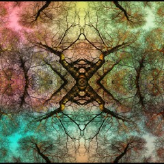 Dream Asylum Productions