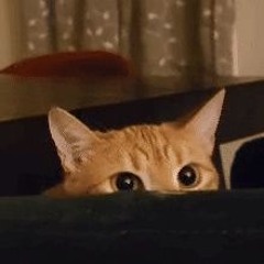 unlynx