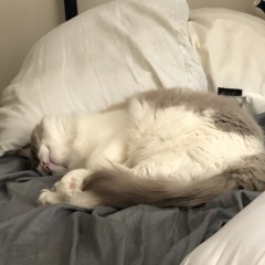 ナナーニャ！P