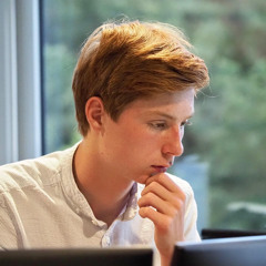 Bas van Schaik