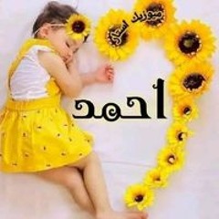 صنفورى سيد