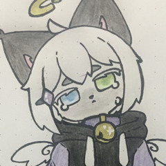 Splashy the cat