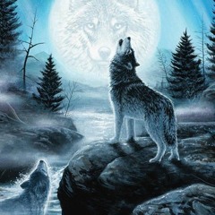 Jay Wolf