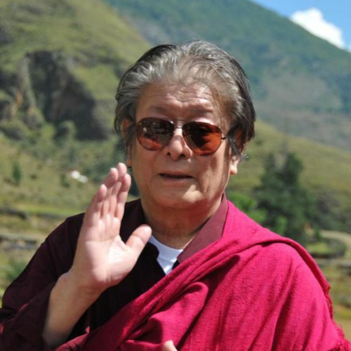 Thinley Norbu Rinpoche’s avatar