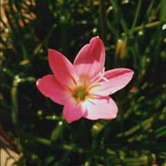 ❥︎𝓶𝓾𝓽𝓪𝓷❥︎𝓵𝓮𝓵𝓾❥︎𝓴𝓪𝓽𝓮𝓶❥︎