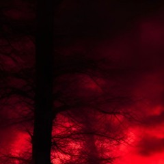 ¡ƈнϊll࿖ɱαɳ.