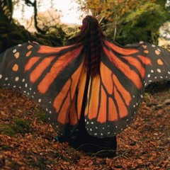 Monarch