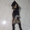 Misal_Chicha777
