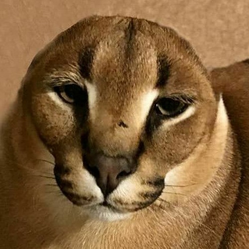 Aziz The Combat Fighter theme song.mp3